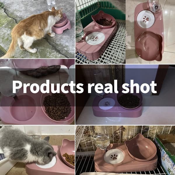 2-i-1 Kattskålar, Kattskål med Automatisk Vattendispenser, Dubbel