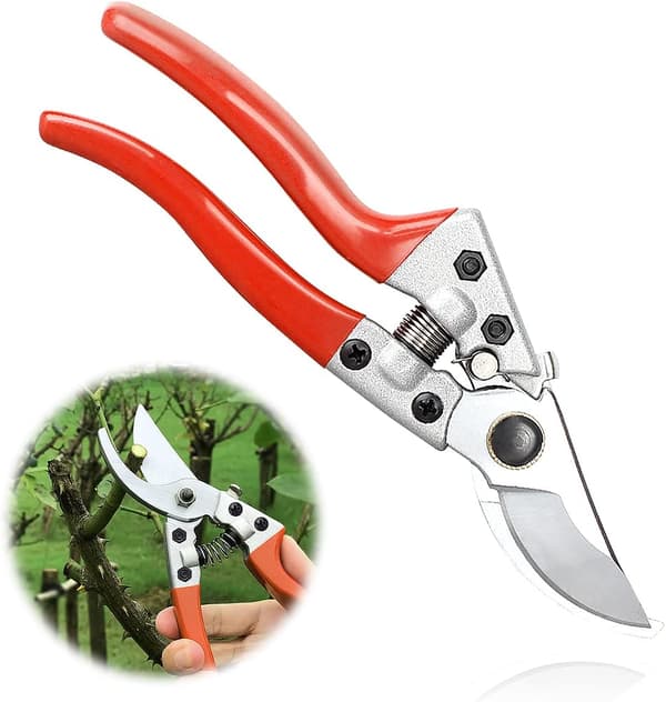 Trädgårdstrimmer, grenkapare, professionell trädgårdstrimmer, trädgård