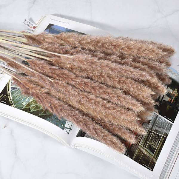 Naturlig Pampasgräs Dekor Torkade Blommor för Vas Boho Hem
