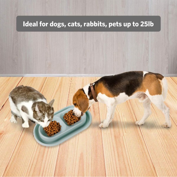 Katt Hund Djurmatskål Mat Vattenskålar Skål för små green