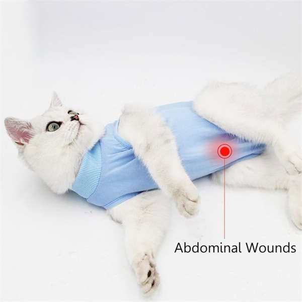 1 st petkläder Katt kastrering/sterilisering dräkt avvänjning postoperativ