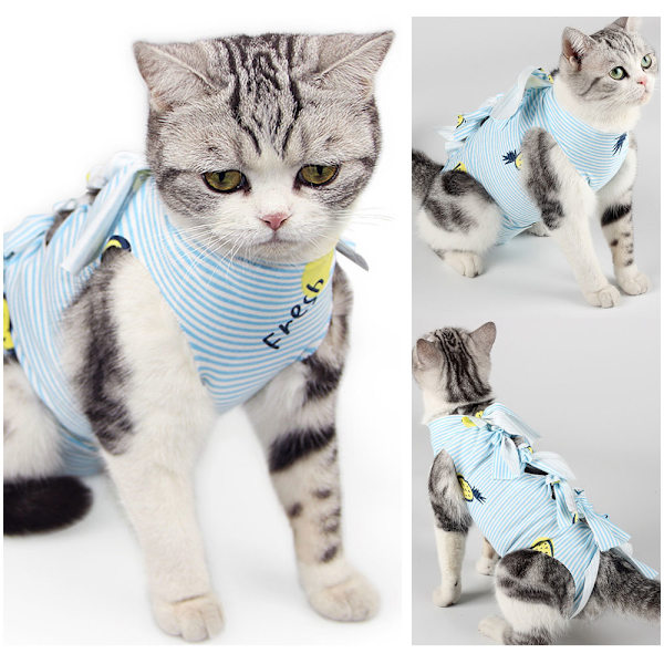 1 st tryckta modell katt spay/neuter dräkt Katt postoperativ dräkt
