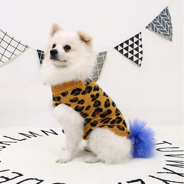 Hund Pullover Husdjur Vinter Stickat Leopardmönster Valp Wa