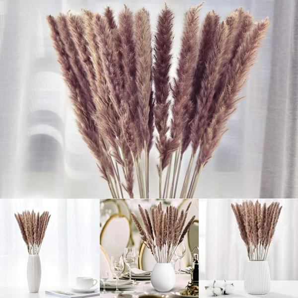 Naturlig Pampasgräs Dekor Torkade Blommor för Vas Boho Hem