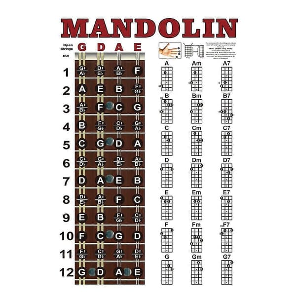 Mandolin Affisch Tabell Ackord Musikalisk Träningsinstrument Guide Ackord Greppbräda Fingersättningsschema