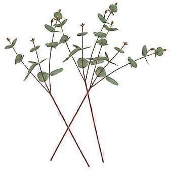 3 stk. Kunstige Eukalyptusstilker Bryllup Eukalyptusblader Falske Eukalyptusstilker Dekorasjoner