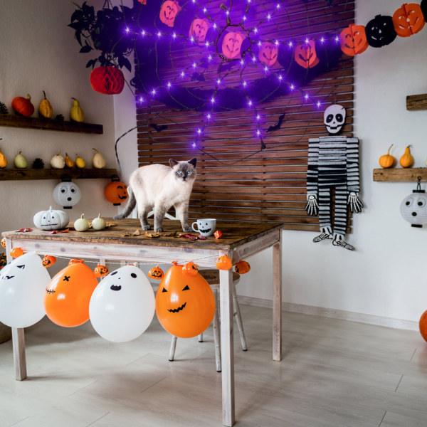 Halloween Spindelväv Ljus Dekoration 60LED Lyser Upp Svart