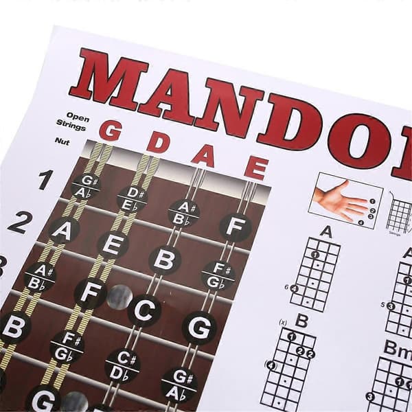 Mandolin Affisch Tabell Ackord Musikalisk Träningsinstrument Guide Ackord Greppbräda Fingersättningsschema