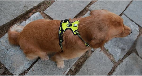 No-Pull Adventure Hundesele 3M Reflekterende Polstret Blød Kraftig