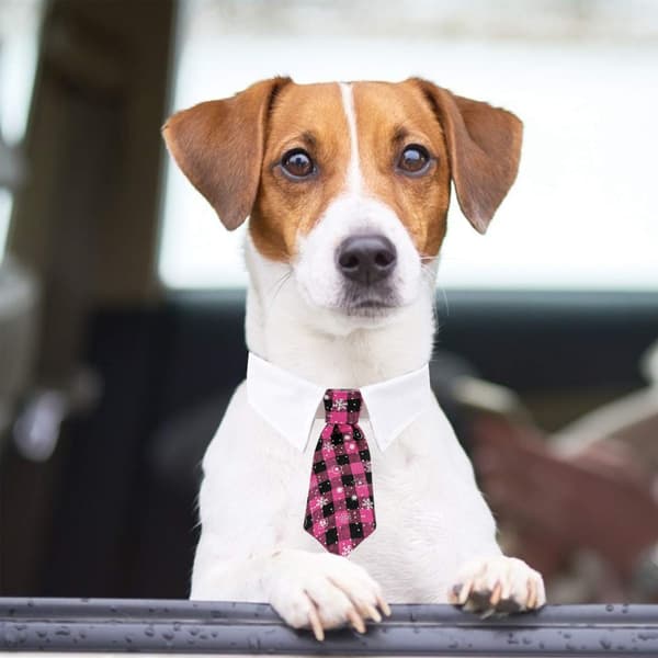 Kæledyrsslips Hundeslips Justerbart Kostume Hundehalsbånd Slips Festtilbehør Julekostume M