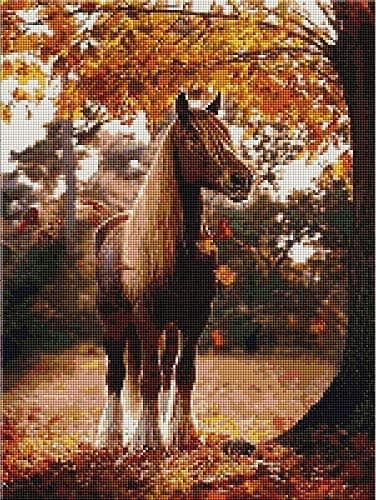 5D Diamantmaleri Sæt 30x40cm DIY Farverig Hest Diamant Kunst Sæt