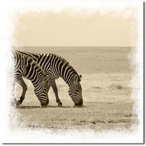 Söt Zebra Canvas Väggkonst Målning Tryckt Bild Hemmakontor