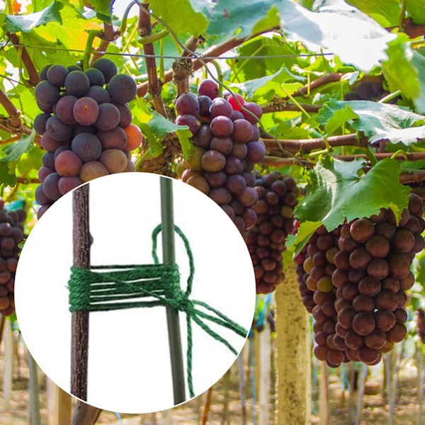 Garden Strong Naturlig Jute Tråd - 2,4 meter lång, 2 mm tjock för trädgårdsarbete, tomatklätterväxter, blomsterhantverk, presentinslagning, förpackning och