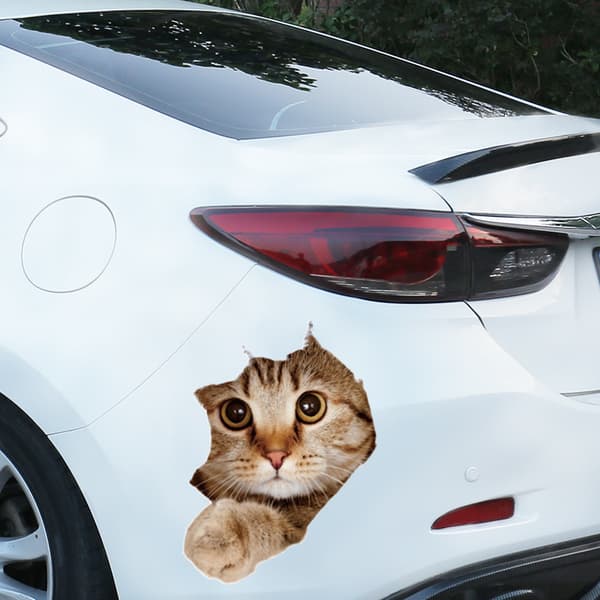 3D Kat Dekal Sød Kat Dekorativ Dekal Kat Sticker Dyretema D