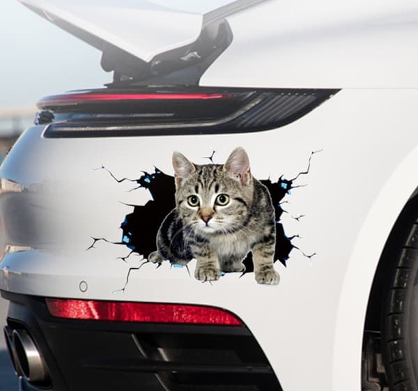 3D Kat Dekal Sød Kat Dekorativ Dekal Kat Sticker Dyretema D