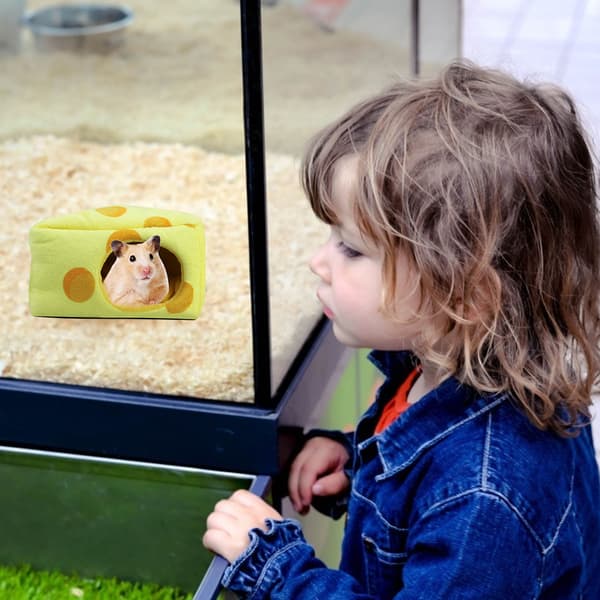 Ostformad Husdjur Hamster Sovande Varmt Näste Vinter Varma Sängar Grotta Husdjursartiklar
