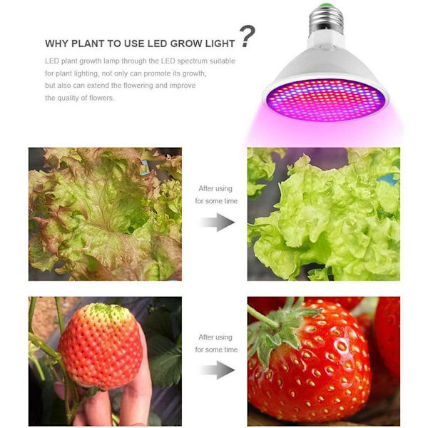 E27 E14 LED Hydroponisk Blomväxt Tillväxtlampa för