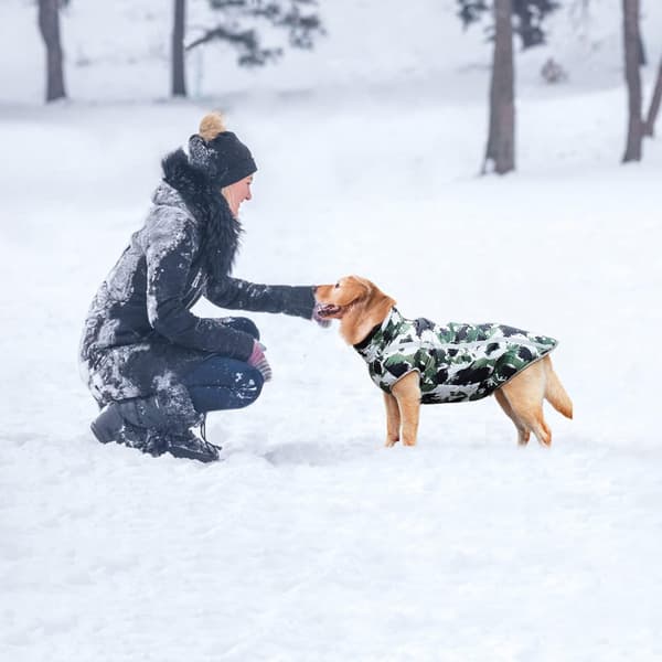 Päls Katt Kappa, Varma Vinter Hund Tröjor Små Medium Stora Hund Jackor