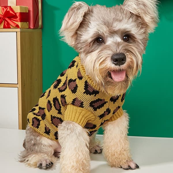 Hund Pullover Kæledyr Vinter Strik Leopard Mønster Hvalp Wa