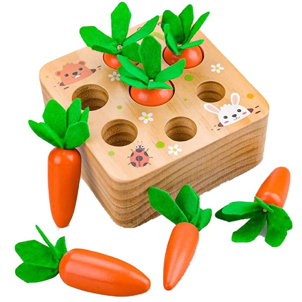 Trä Montessori leksak, morot leksak, vedsorteringsspel för