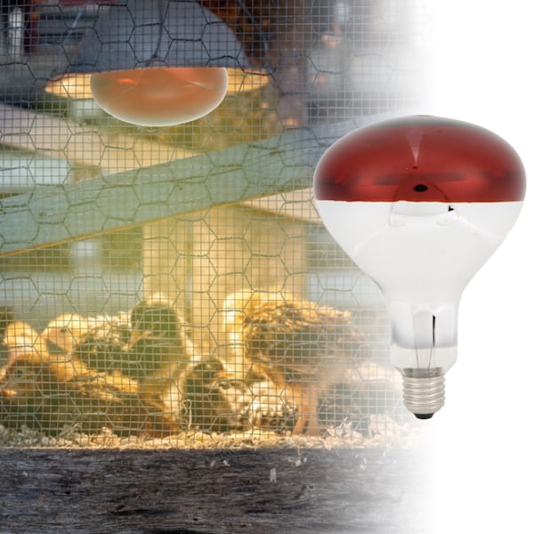 Värmelampa Glödlampor Värmelampa Glödlampor Infraröd Reflektor Glödlampa För Jordbruksbruk Ljusterapi Röd Värmelampa Explosionssäker