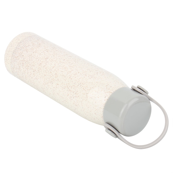 Vattenflaska sommar stil bärbar glas med lock dricka
