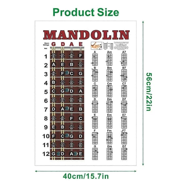 Mandolin Affisch Tabell Ackord Musikalisk Träningsinstrument Guide Ackord Greppbräda Fingersättningsschema