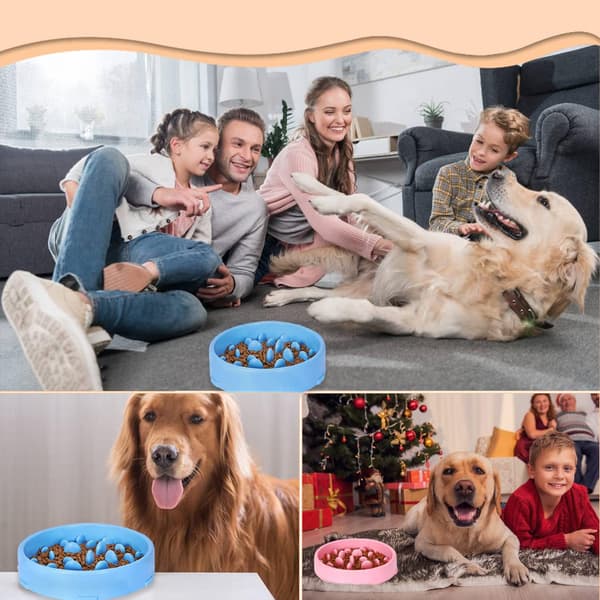 Anti Glutton Hundskål Långsam Matningsskål för Hundar, Långsam Matning Nej