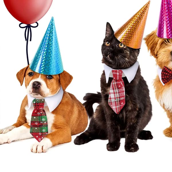 Kæledyrsslips Hundeslips Justerbart Kostume Hundehalsbånd Slips Festtilbehør Julekostume S