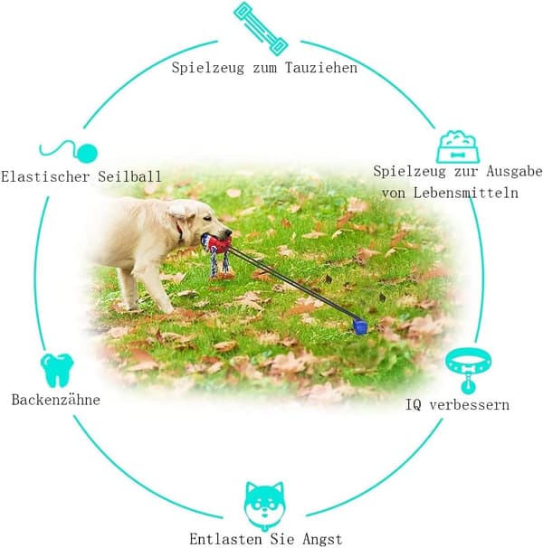 Anyingkai Hundetandrensning og Foderdispenser, Multi-Funktion P
