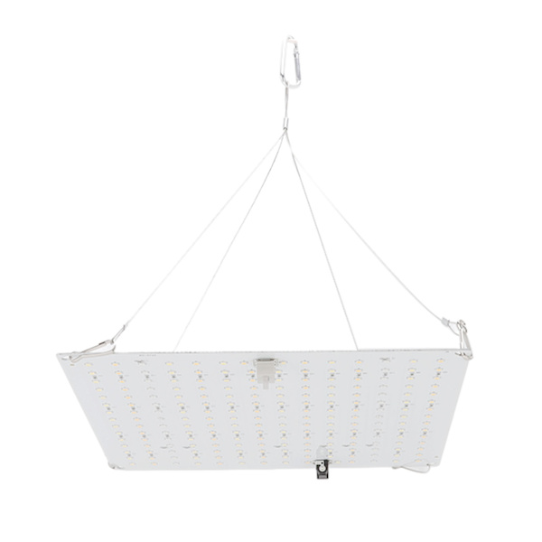 LED-växtlampor Full Spectrum Växtväxtlampa för plantor Suckulenter Inomhusodling EU 100‑240V