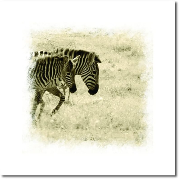 Söt Zebra Canvas Väggkonst Målning Tryckt Bild Hemmakontor
