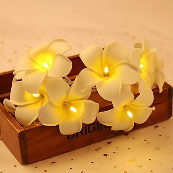 Led dekorativa lampor Frangipani lampa blomma fe lampa för