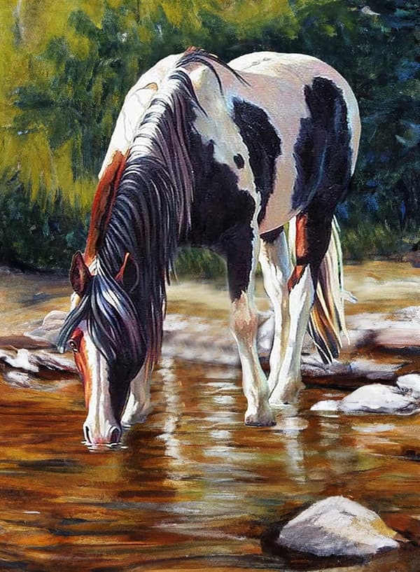 5D Diamantmaleri Sæt 30x40cm DIY Farverig Hest Diamant Kunst Sæt