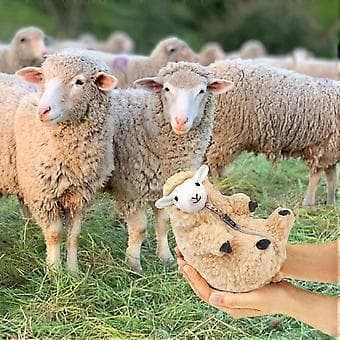 Söpöt ajetut lammaslelut Kawaii Lammaspehmolelut Lahjat