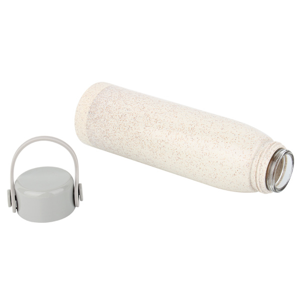 Vattenflaska sommar stil bärbar glas med lock dricka