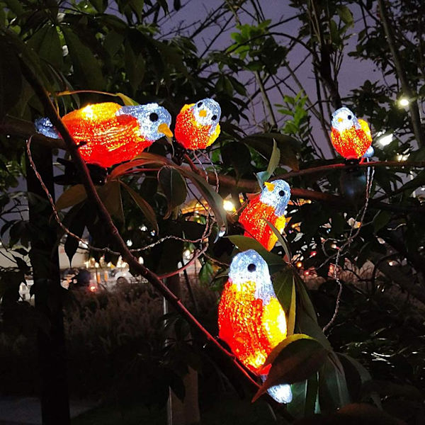 Vattentät 5 LED Akryl Fågel Ljus String Solar Fe Lampa