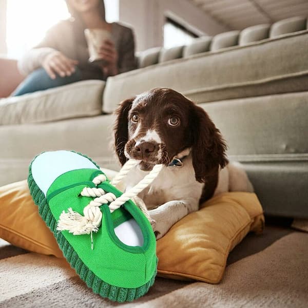 Interaktiv Hundleksak, Kvittrande Tuggleksaker Sko Hundspel Tandborste