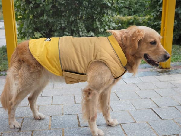 Varm Vinter Vindtät Hundjacka, Snösäkra Hundkläder För Liten A