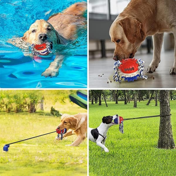 Anyingkai Hundetandrensning og Foderdispenser, Multi-Funktion P