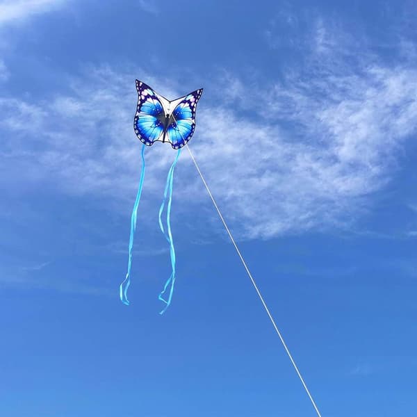 Butterfly Thief Drage Kite til Børn og Voksne Blå