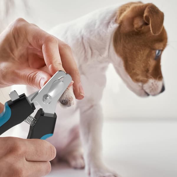 Hundekløer til hundeklippere og kattekløer - St