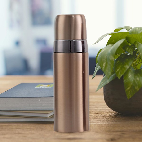 500 ml rostfri isolerad vattenflaska BPA-fri vattenkanna