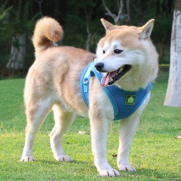 Nytt husdjur bröstband-väst hund dragrep reflekterande andas blue