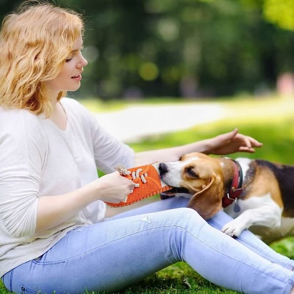 Interaktiv Hundleksak, Kvittrande Tuggleksaker Sko Hundspel Tandborste