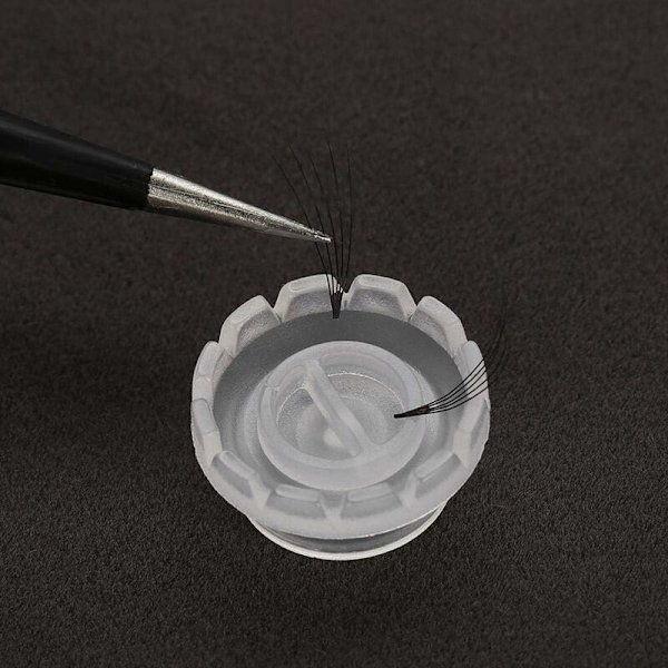 Vippbeger for vippeimplantasjon, Sun Cup blomster vippeimplantasjon, Wi