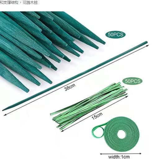 Grön träväxtstake Bambu trästake Naturliga plockar Blommig P