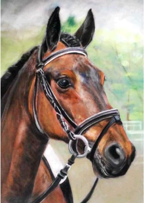 5D Diamantmaleri Kit 30x40cm DIY Fargerik Hest Diamant Kunst Kit