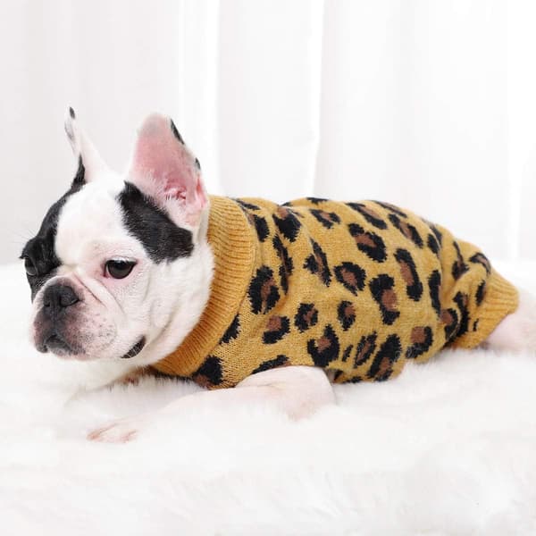 Hund Pullover Husdjur Vinter Stickat Leopardmönster Valp Wa