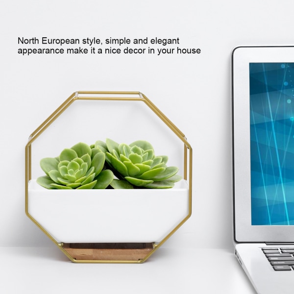 Nordisk stil keramisk blomkruka saftiga växthållare